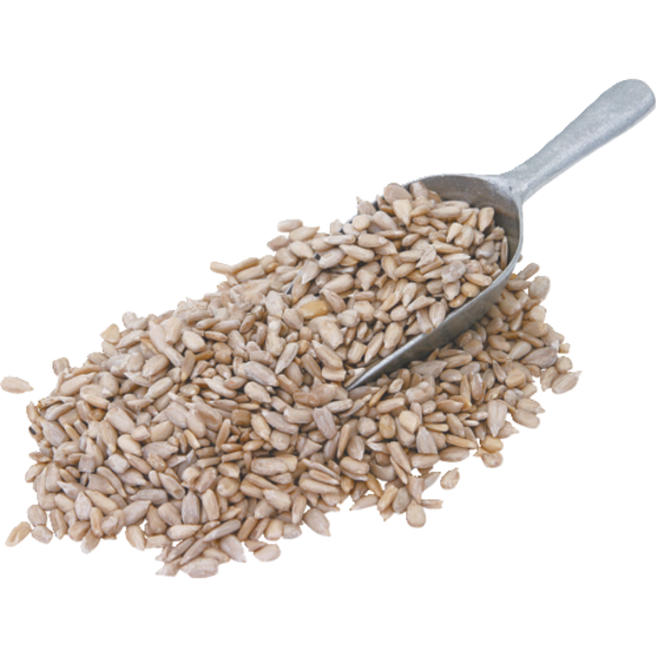 Organic Raw Sunflower Seeds