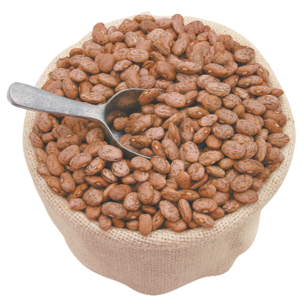 Organic Pinto Beans